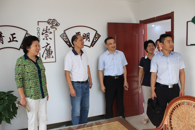 7月5日,市纪委案件监督管理室主任洪伦一行两人到大观区纪委检查图片