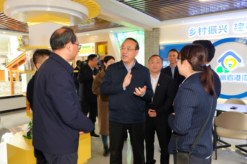 4月1日，张书记到岳西县毛尖山乡王畈村调研金融助推乡村振兴工作.jpg