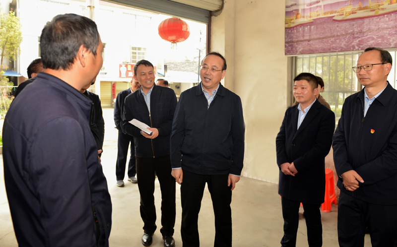 4月1日，张书记到岳西县响肠镇千佛塔村胡岳新户.jpg
