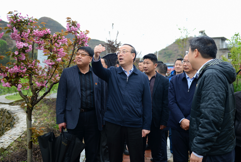 4月1日，张书记到岳西县菖蒲镇岩河村调研休闲观光农业采摘基地.jpg