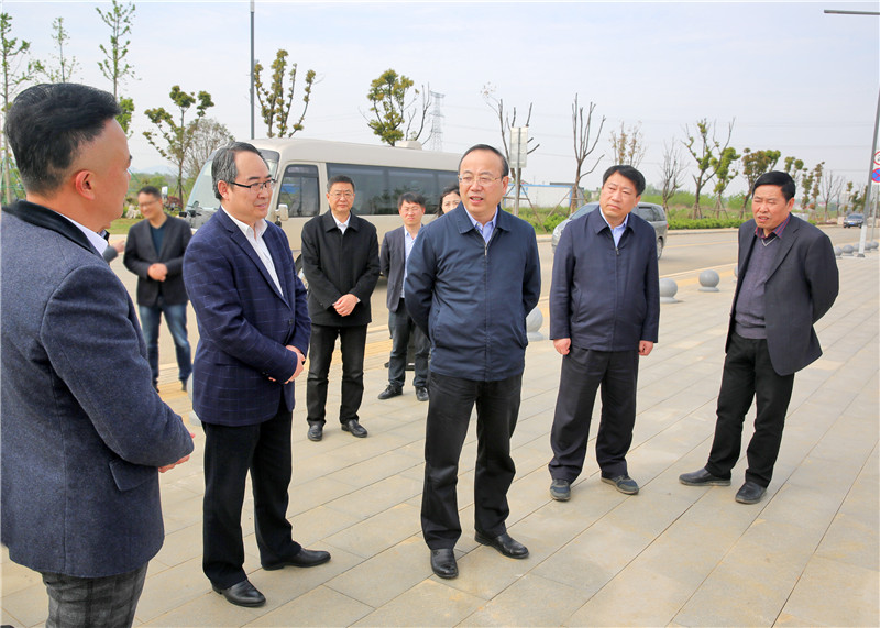 4月10日下午，张书记调研怀宁独秀乡村振兴示范区三中心及蓝莓商业街.jpg