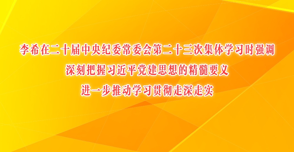 李希在二十届中央纪委常委会第二十三次集体学习时强调 深刻把握习近平党建思想的精髓要义 进一步推动学习贯彻走深走实